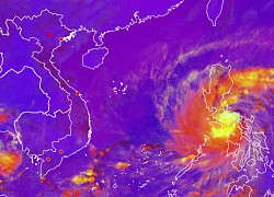 Chuyên gia phân tích các khả năng diễn biến của bão Goni