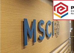 Cổ phiếu Phát Đạt lọt vào rổ MSCI Frontier Markets 100 Index