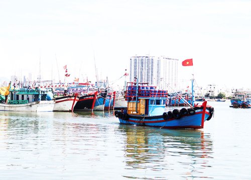 Đảm bảo an toàn cho tàu cá mùa mưa bão