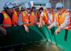 Đây là lý do tỉnh An Giang thả trên 100.000 con cá giống đặc sản xuống sông Vàm Nao