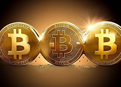 Giá Bitcoin hôm nay 1/11: Bitcoin nổi sóng, áp sát 14.000 USD