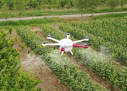 Kết hợp drone và AI để làm ruộng