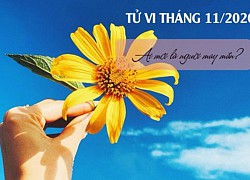 'Tất tần tật' về tử vi tháng 11/2020 của 12 con giáp