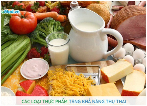 Thực phẩm hỗ trợ thụ thai