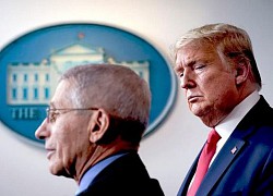 Trump dọa sa thải Fauci