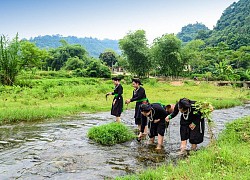 5 đặc sản Tây Bắc