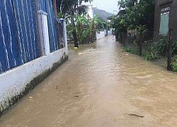 Hơn 15.000 sinh viên Nha Trang chuyển qua học trực tuyến vì mưa lũ