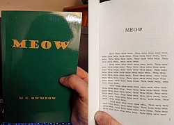 Bỏ tiền mua sách tựa "Meow meow" giảm giá qua mạng mà không xem trước nội dung, người đàn ông "chết lặng" khi mở ra, cảm giác bất lực toàn tập