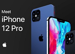 Chi phí vật liệu của iPhone 12 Pro lên tới 406 USD?