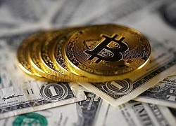 Giá Bitcoin hôm nay 29/10: Bitcoin 'hồi sinh' đẩy nhiều tiền ảo tăng bốc đầu