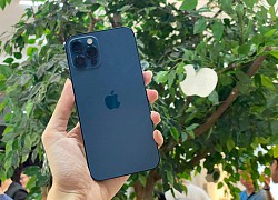 Giá cao ngất nhưng iPhone 12 vẫn "hot" không kém iPhone 11