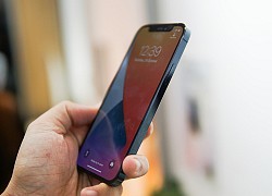 Giá iPhone 12 'xách tay' mỗi ngày giảm 200.000 đồng