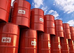 Giá xăng dầu hôm nay 28/11: Dầu Brent lên 48 USD