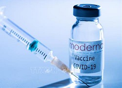 Moderna xin cấp phép sử dụng vaccine COVID-19 tại Mỹ và châu Âu