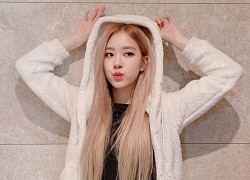 Đây là lý do cả ba thành viên còn lại của Black Pink đều muốn trở thành Jisoo