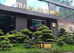 ThaiHoldings chốt danh sách phát hành hơn 296 triệu cổ phiếu giá 10.000 đồng