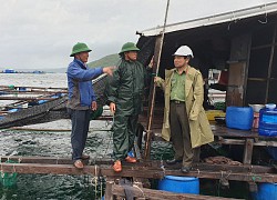 Vạn Ninh triển khai ứng phó với mưa lớn trên diện rộng