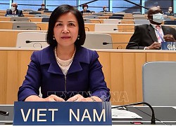 Việt Nam tham dự Phiên Rà soát chính sách thương mại của Thái Lan tại WTO