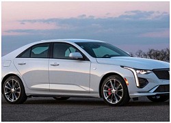 Xe sang Cadillac CT4 bị triệu hồi vì lỗi gắn sai phù hiệu