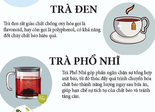 6 loại trà hỗ trợ giảm cân hiệu quả