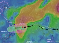 Bão áp sát bờ biển Phú Yên Quảng Ngãi, bắt đầu ảnh hưởng đất liền