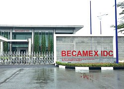 Becamex (BCM) dự chi 414 tỷ đồng để chia cổ tức năm 2019 bằng tiền mặt