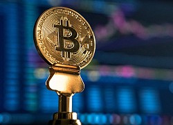 Bitcoin tăng vọt lên sát 16.000 USD, cách đỉnh cao nhất lịch sử không còn xa