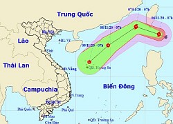 Cấp bách ứng phó bão Atsani giật cấp 12