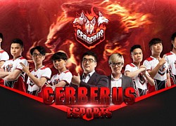 Cerberus lấy lại vị thế 'ông trùm quốc nội' sau khi lên ngôi vô địch POPS eSports PUBG Invitational