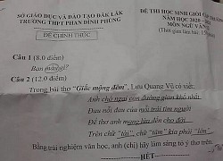 Cô giáo ra đề học sinh giỏi Văn chỉ 3 từ "Bạn màu gì?" nói về lý do đề siêu ngắn