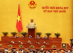 Đại biểu Trương Trọng Nghĩa: '10 năm tới đất nước ta phải cất cánh'