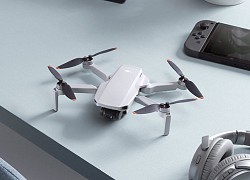 DJI Mini 2 được nâng cấp quay video 4K, công nghệ OcuSync và động cơ mạnh hơn