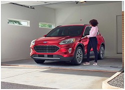 Ford Escape siêu tiết kiệm xăng mãi chưa mở bán là vì lý do này