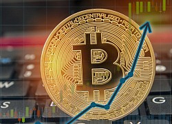 Giá Bitcoin hôm nay ngày 5/11: Kỳ vọng vào kết quả bầu cử sớm công bố, giá Bitcoin phá vỡ đỉnh 14.000 USD