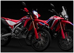 Honda CRF250L, CRF250L Rally 2021 sắp ra mắt với nhiều thay đổi