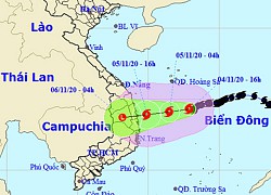 Khẩn cấp ứng phó với bão số 10