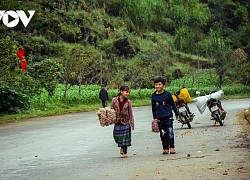 Mùa thu lên Hà Giang "hẹn hò" cùng hoa tam giác mạch