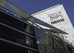 Nestle ra mắt dòng thức ăn thân thiện với môi trường cho thú cưng