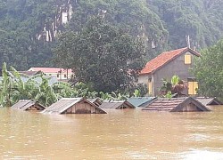 Cần có một chiến lược lâu dài, bền vững...