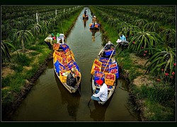 Ngây ngất với thiên nhiên và đời sống người Việt qua ảnh