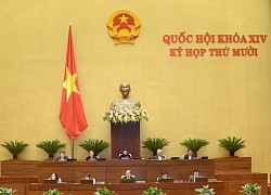 Quốc hội bắt đầu chất vấn các thành viên Chính phủ