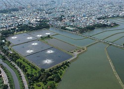 Thành phố Hồ Chí Minh: Đồng bộ hệ thống xử lý nước thải