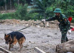 Tìm thêm được thi thể cháu bé 9 tuổi trong vụ sạt lở ở Trà Leng