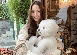 "Tình cũ Lee Min Ho" Park Min Young lộ diện sau khi gây hoang mang vì gương mặt xuống sắc khó nhận ra