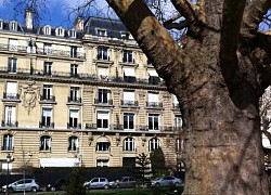 Trộm đột nhập căn hộ của Công chúa Saudi Arabia tại Paris