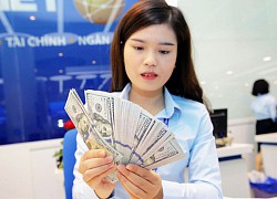 Tỷ giá trung tâm giữa VND và USD giảm 15 đồng vào sáng 6/11