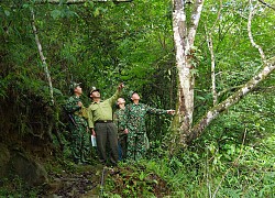 Bảo vệ rừng đầu nguồn biên giới Sin Suối Hồ