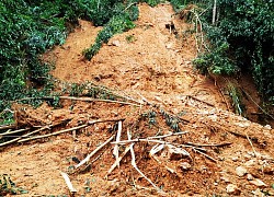 Cần đánh giá kỹ lưỡng tình trạng sạt lở tại huyện miền núi Vĩnh Thạnh, Bình Định