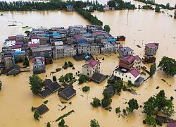 Công nghệ AI trong cảnh báo lũ lụt