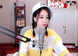 &quot;Cuỗm&quot; 31 tỷ của công ty để donate cho nữ streamer xinh đẹp, nam kế toán nhận ngay cái kết không thể nào đắng hơn!